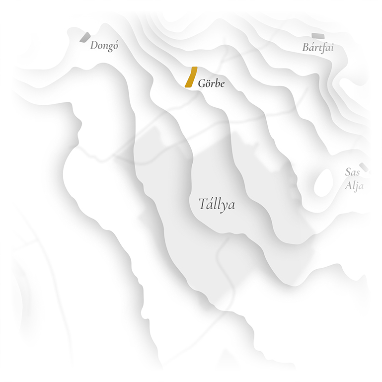 Tállya map - Görbe