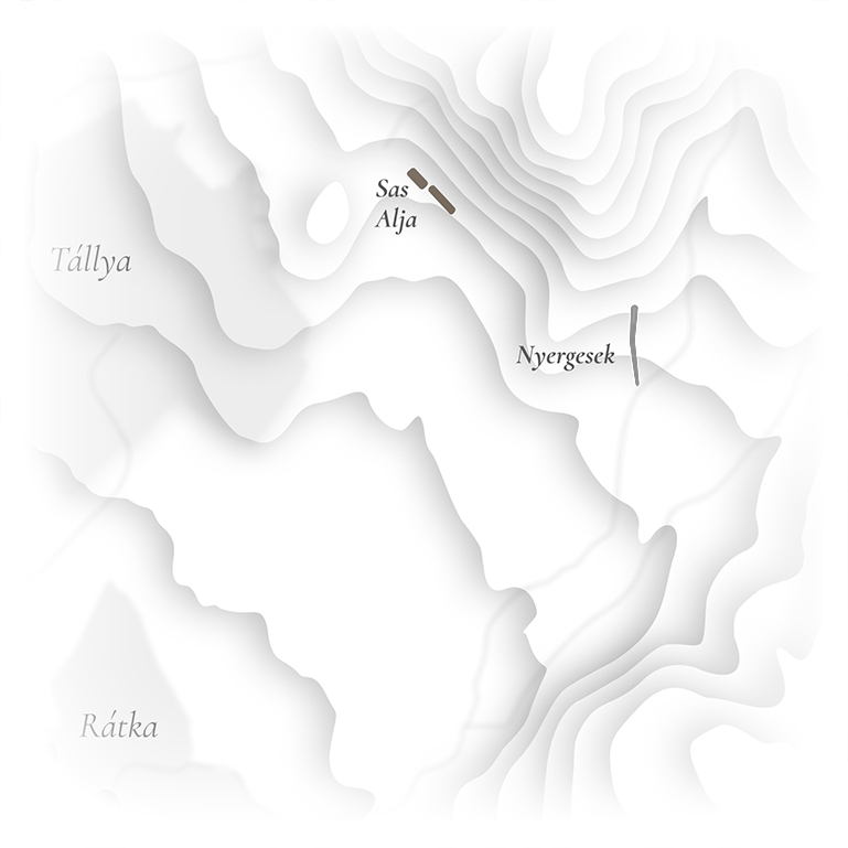 Tállya map - Sas alja