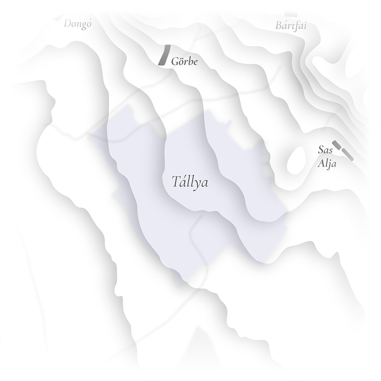 Tállya map - Tállya